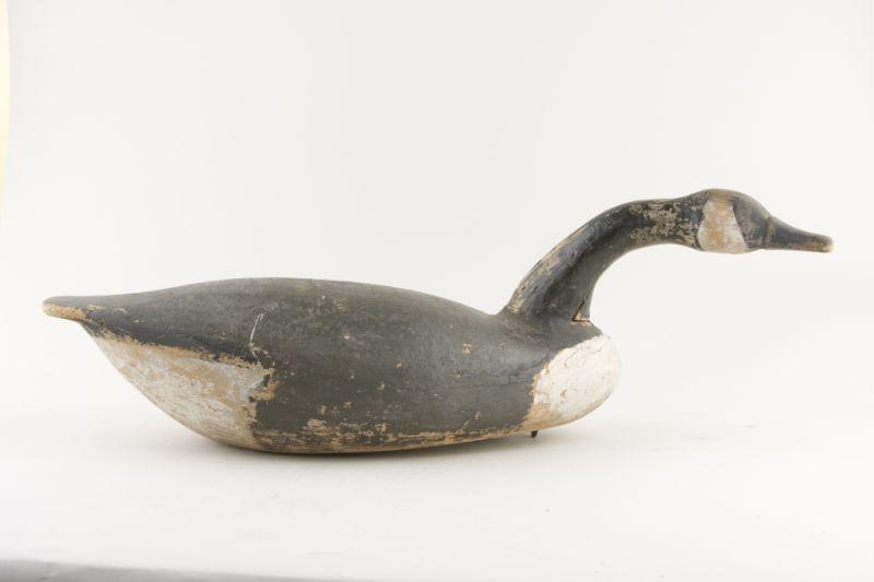 Appraisal: Swimming Head Canada Goose Decoy attributed to North Carolina '