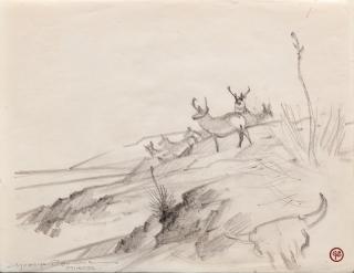 Appraisal: George Browne Two Pencil Drawingseach with estate stampPronghorns with Skullsigned