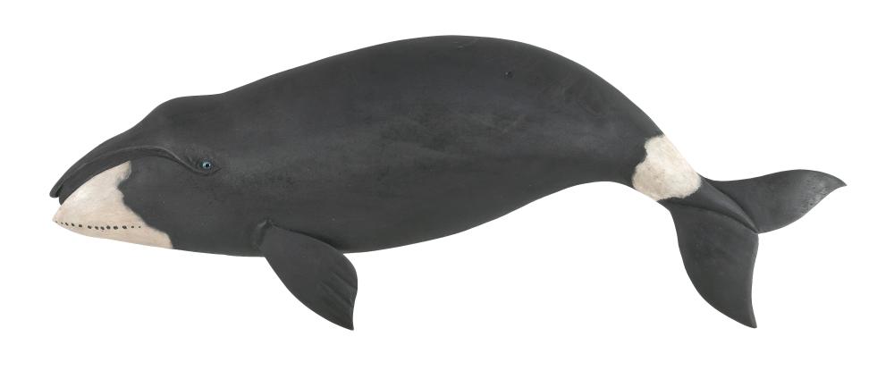 Appraisal: ROGER MITCHELL CARVED WOODEN BOWHEAD WHALE PLAQUE KINGSTON MASSACHUSETTS TH