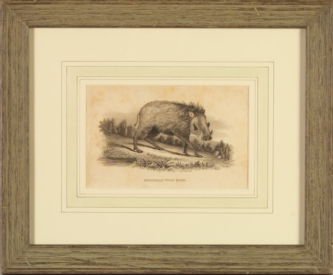 Appraisal: American School th Century Ethiopian Wild Boar bookplate engraving by