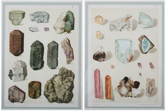 Appraisal: REINHARD BRAUNS German - The Mineral Kingdom Four color lithographs