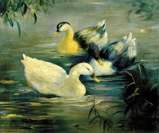 Appraisal: British school th century DUCK TRIO ON PONDoil on canvas