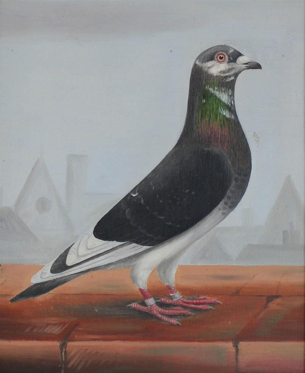 Appraisal: UNKNOWN ARTIST PIGEON Oil on board x in sight Framed