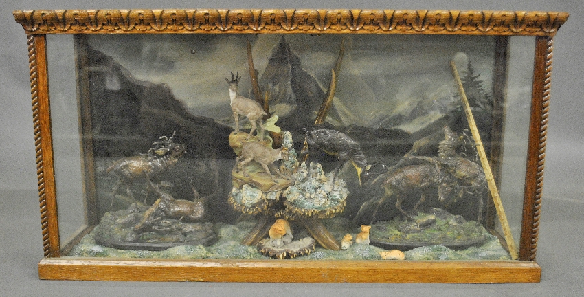 Appraisal: - Oak cased composition animal diorama with fighting stags and