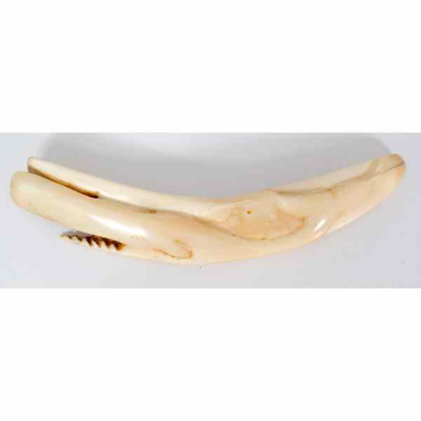 Appraisal: Scrimshaw Tooth Featuring Whale Carving American a carved whale tooth