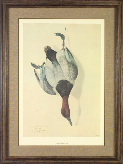 Appraisal: After George Louis Viavant American Louisiana - Hanging Canvasback Drake