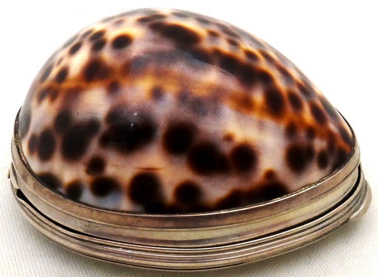 Appraisal: A silver mounted cowrie shell hinge lidded snuff box gilt