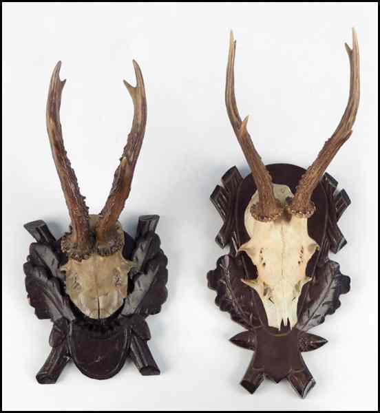 Appraisal: TWO PAIRS OF ANTLERS On Black Forest mounts Condition No