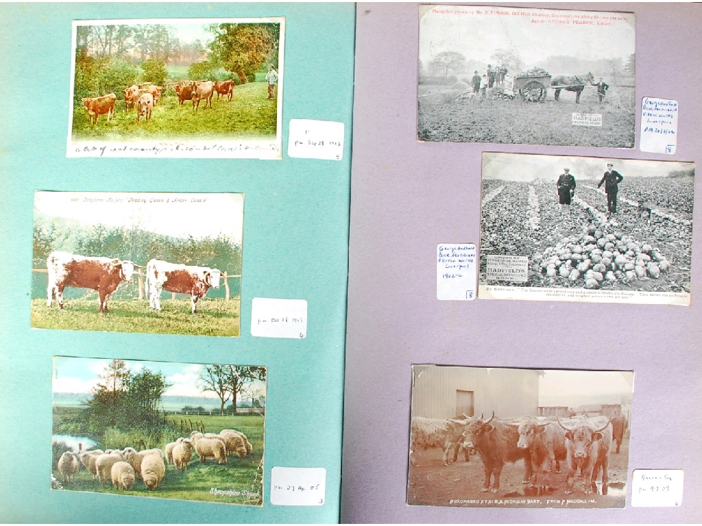 Appraisal: SCRAPBOOK CONTAINING COLLECTION OF EARLY TWENTIETH CENTURY POSTCARDS RELATING TO