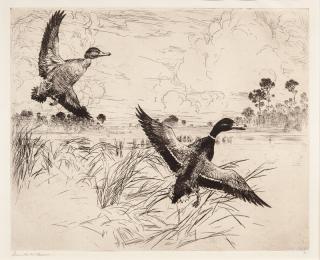 Appraisal: Frank W Benson - Mallards No signed Frank W Benson