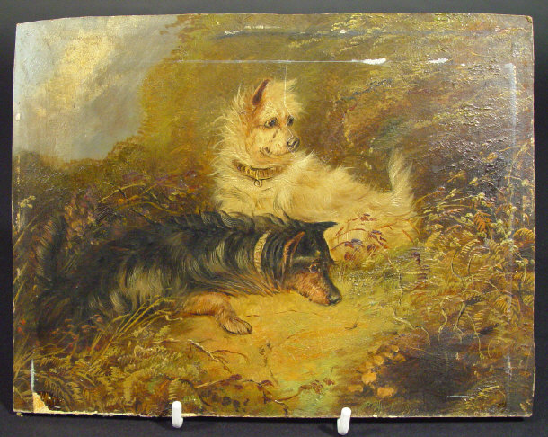 Appraisal: Victorian oil onto panel of dogs amongst woodland cm x