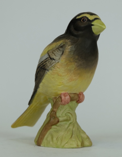 Appraisal: Beswick Evening Grosbeak matte