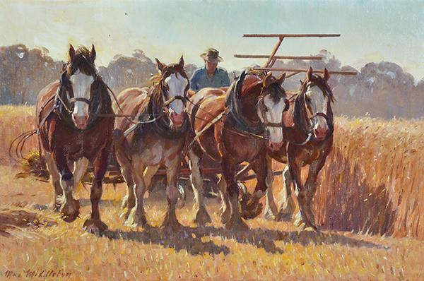 Appraisal: MAX MIDDLETON BORN Clydesdales Working oil on canvas MAX MIDDLETON