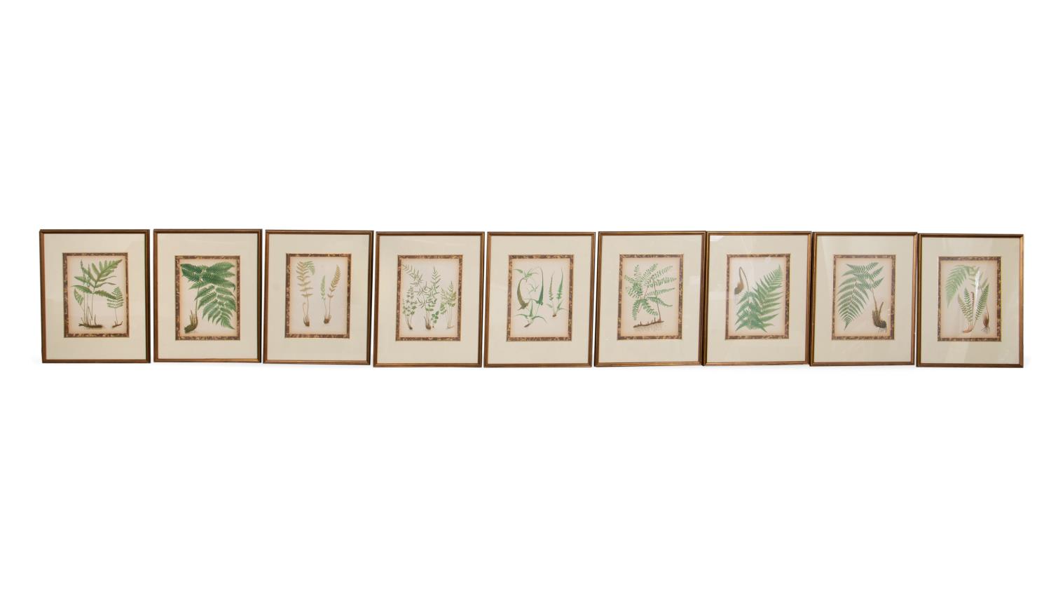 Appraisal: SET OF NINE FRAMED BOTANICAL PRINTS Style of Henry Bradbury