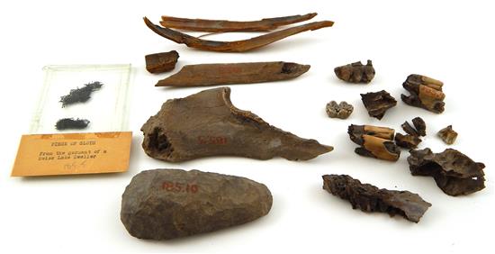 Appraisal: TRIBAL Neolithic period organic fragments and tools from Denmark and