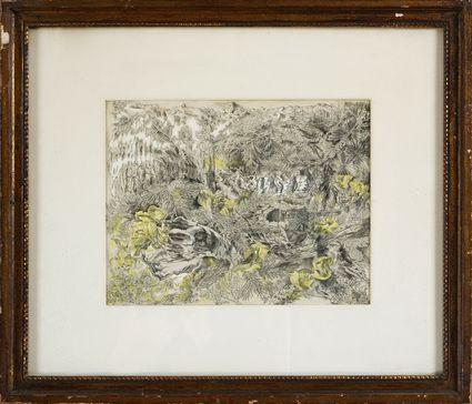 Appraisal: ROBIN IRONSIDE - ROSE BEING OFFERED IN A CONIFEROUS WOOD