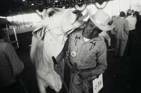 Appraisal: WINOGRAND GARY - Texas State Fair Dallas Silver print x