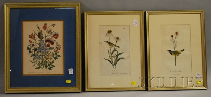 Appraisal: Two Framed J Bowen Hand-colored Ornithological Prints and a Hand-colored