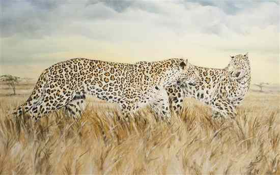 Appraisal: Tara Moore American b Leopards in the Savannah oil on