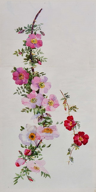 Appraisal: ENGLISH SCHOOL EARLY TH CENTURY A branch of wild flowers