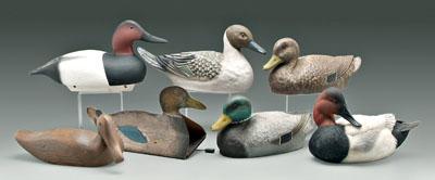 Appraisal: Seven duck decoys stained wood display model with turned head