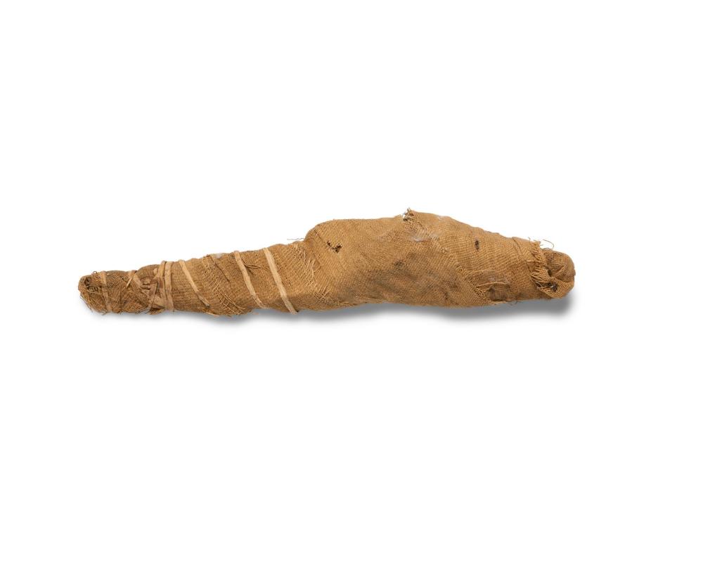 Appraisal: An Ancient Egyptian mummified fish Late Period circa - BCE