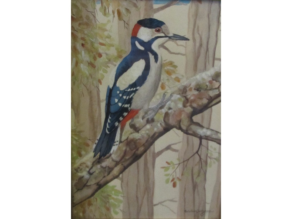 Appraisal: RALSTON GUDGEON RSW Watercolour 'Woodpecker' signed