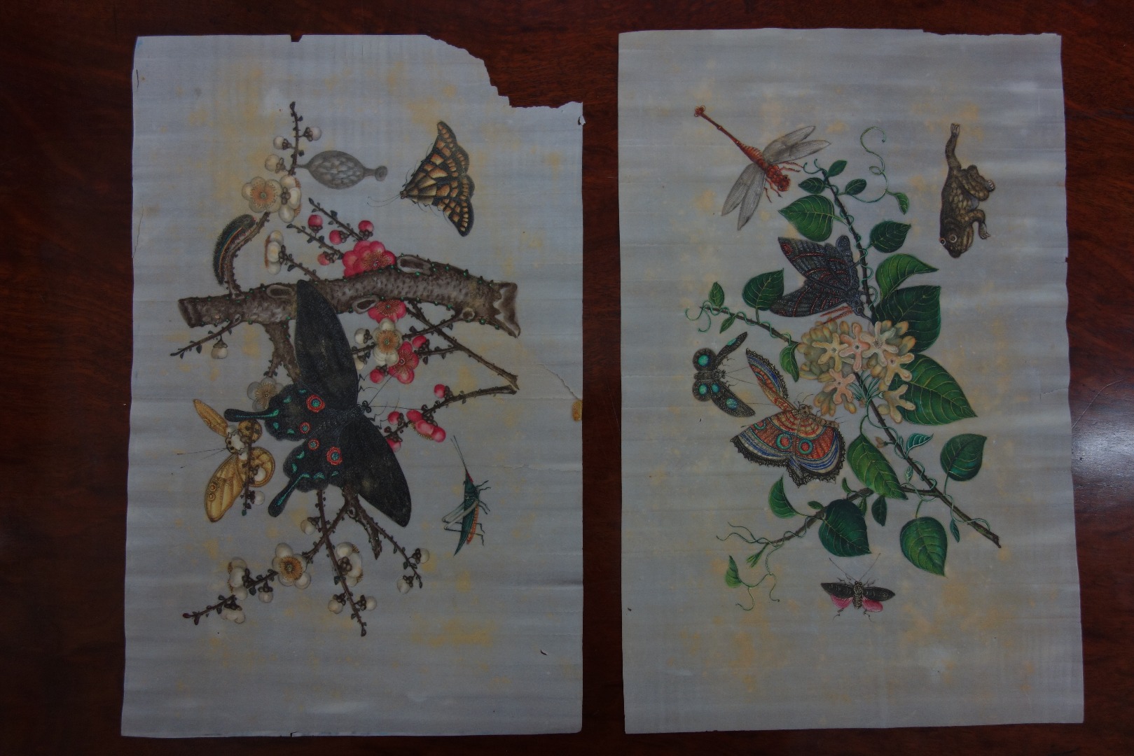 Appraisal: Two Chinese pith paper paintings Qing dynasty th century painted