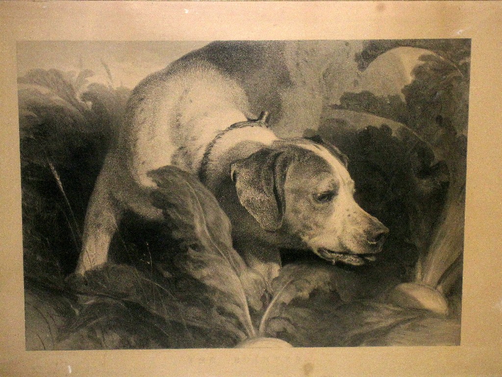 Appraisal: Engraving 'The Pointer'