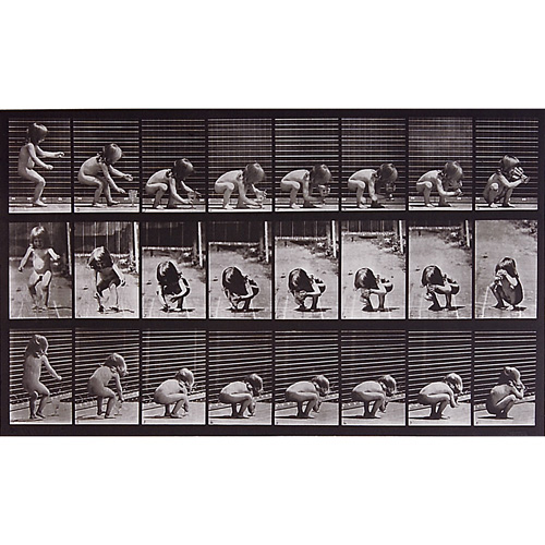 Appraisal: Eadweard Muybridge British American - Animal Locomotion plate nos ten