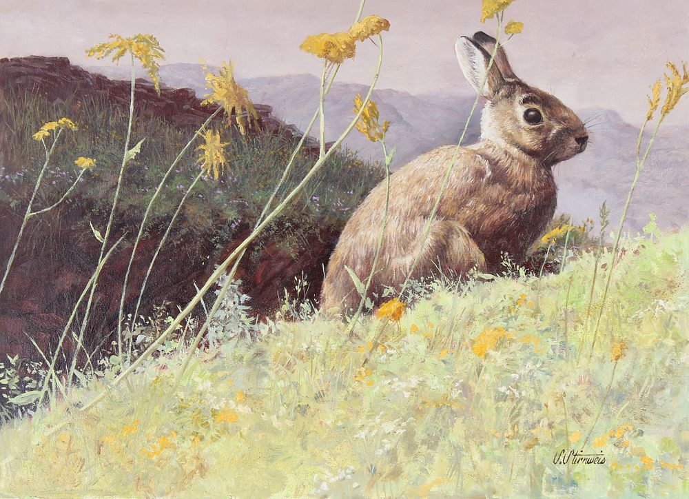 Appraisal: Shannon Stirnweis B Cottontail Rabbit Oil Shannon Stirnweis American Born