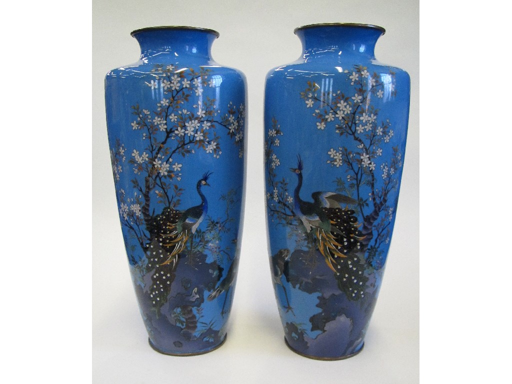 Appraisal: Pair of cloisonne vases depicting peacocks amongst flowering branches def