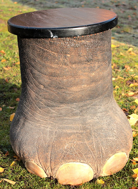 Appraisal: AN EARLY TH CENTURY PRESERVED ELEPHANT FOOT converted to a