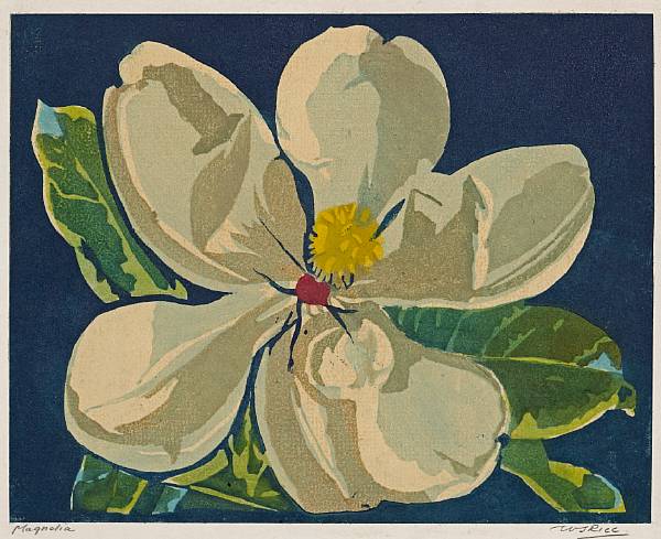 Appraisal: William Seltzer Rice American - Magnolia c Woodcut printed in