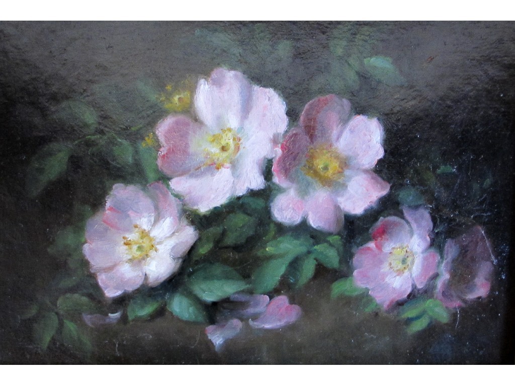 Appraisal: ROSA L SHEARER fl - ROSES Oil on board signed