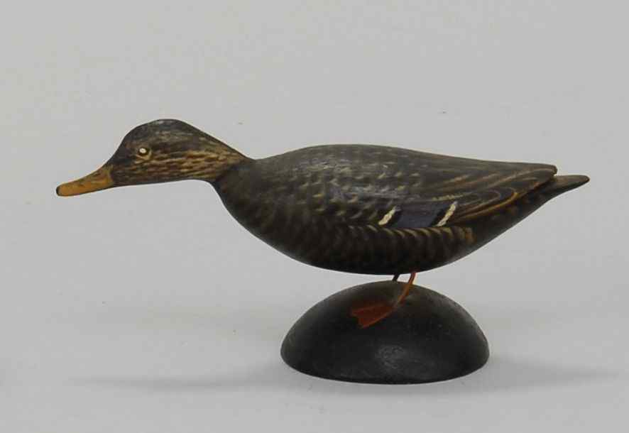 Appraisal: MINIATURE BLACK DUCKCirca By A E Crowell of East Harwich