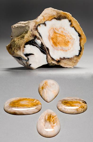 Appraisal: Opalized Log Section and Four Cabochons Metasequoia Miocene Broken Hills