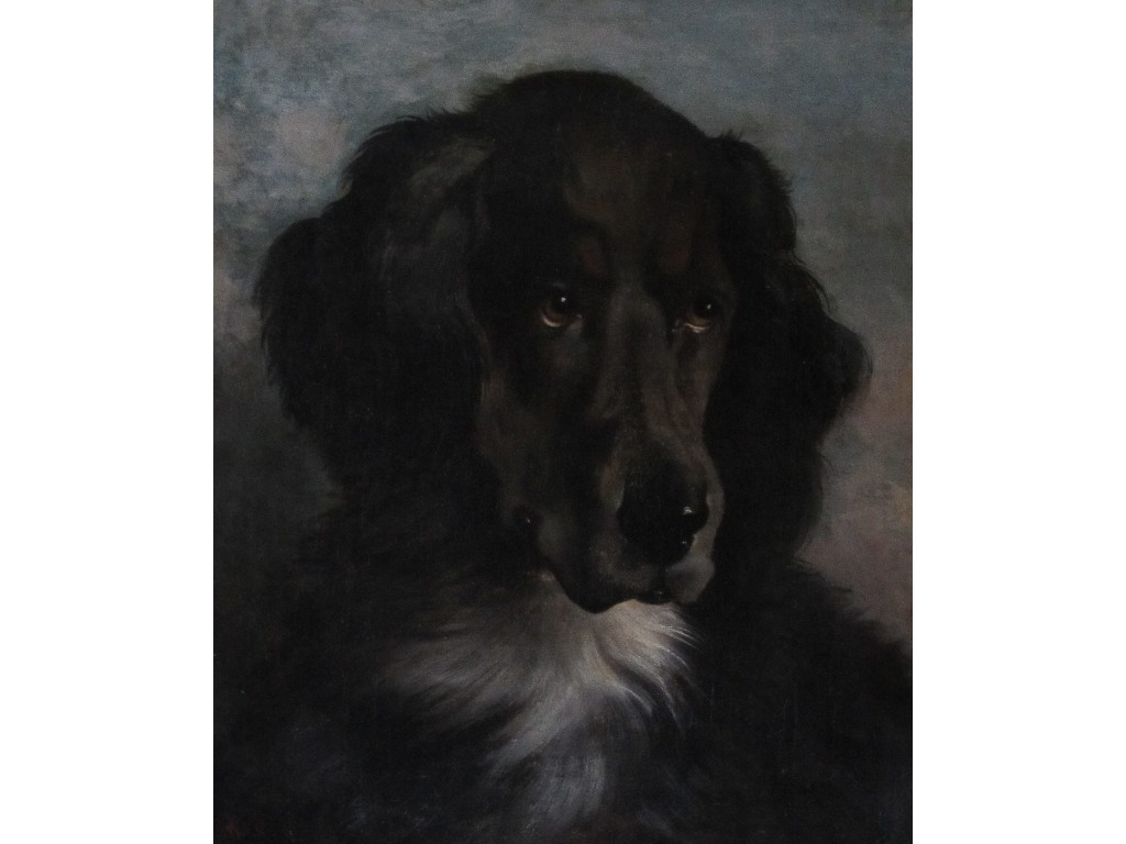 Appraisal: TH CENTURY ENGLISH SCHOOL BLACK SETTER Oil on canvas initalled