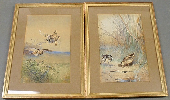 Appraisal: - Shaw Robert American Delaware - two framed and matted