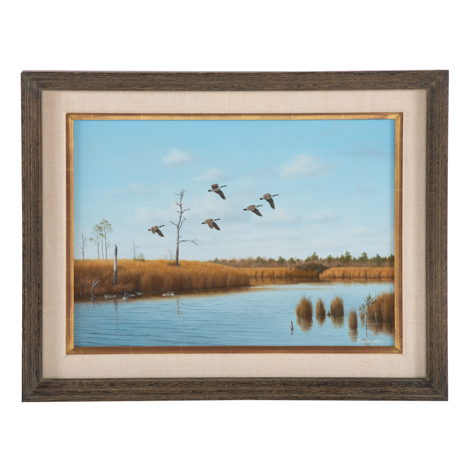 Appraisal: DAVID T TURNBAUGH GEESE FLYING OVER MARSH OIL American b