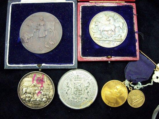 Appraisal: A silver medallion Uttoxeter Agricultural Society and sundry medallions including