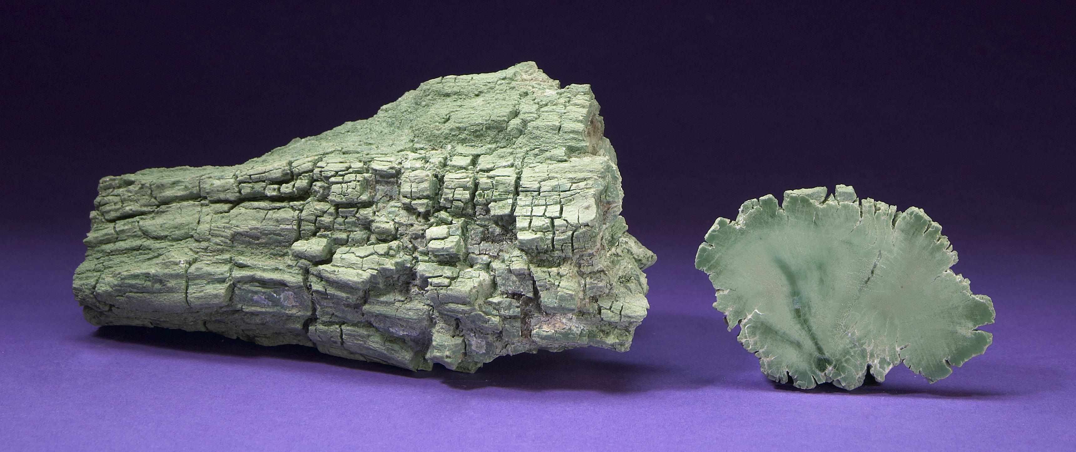 Appraisal: Rare Green Petrified Wood Log Section and a Cross-Section Slice