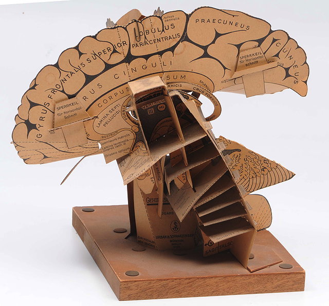 Appraisal: A CARD MODEL OF THE HUMAN BRAIN on a wooden