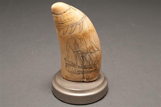 Appraisal: American scrimshaw whale tooth dated with whaling scene mounted on