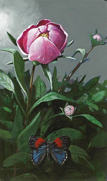 Appraisal: Paul Wonner American - Peonies with Butterfly c signed 'Paul