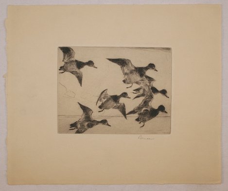 Appraisal: BENSON Frank American - ''Bunch of Bluebills'' Etching '' x