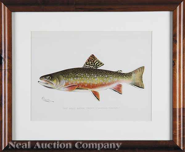 Appraisal: After Sherman F Denton American - six chromolithographs of fish