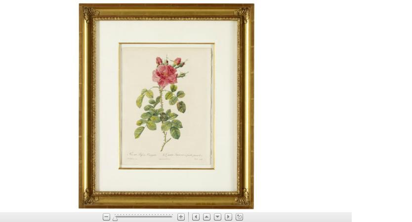 Appraisal: Redoute Pierre Joseph French - roses