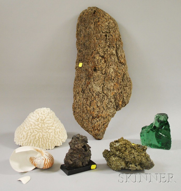 Appraisal: Group of Assorted Decorative and Collectible Natural and Scientific Fragments