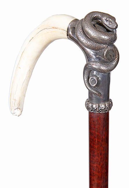 Appraisal: Boar s Tusk Snake Cane- th Century- A beautiful design